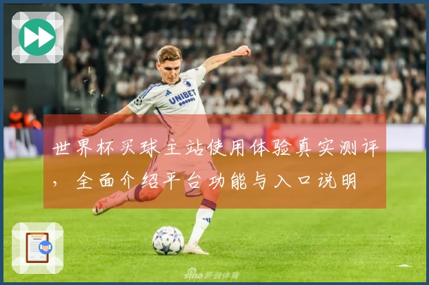 世界杯买球主站使用体验真实测评，全面介绍平台功能与入口说明