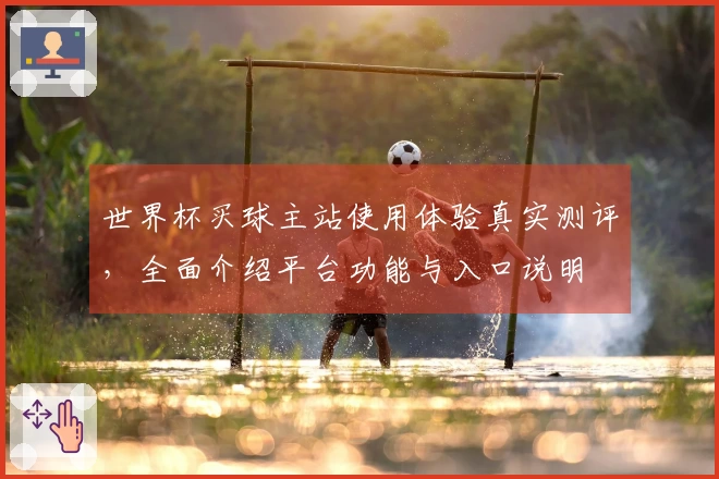 世界杯买球主站使用体验真实测评，全面介绍平台功能与入口说明