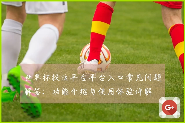 世界杯投注平台平台入口常见问题解答：功能介绍与使用体验详解