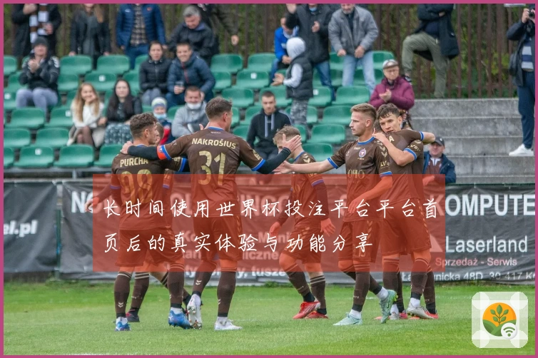 长时间使用世界杯投注平台平台首页后的真实体验与功能分享